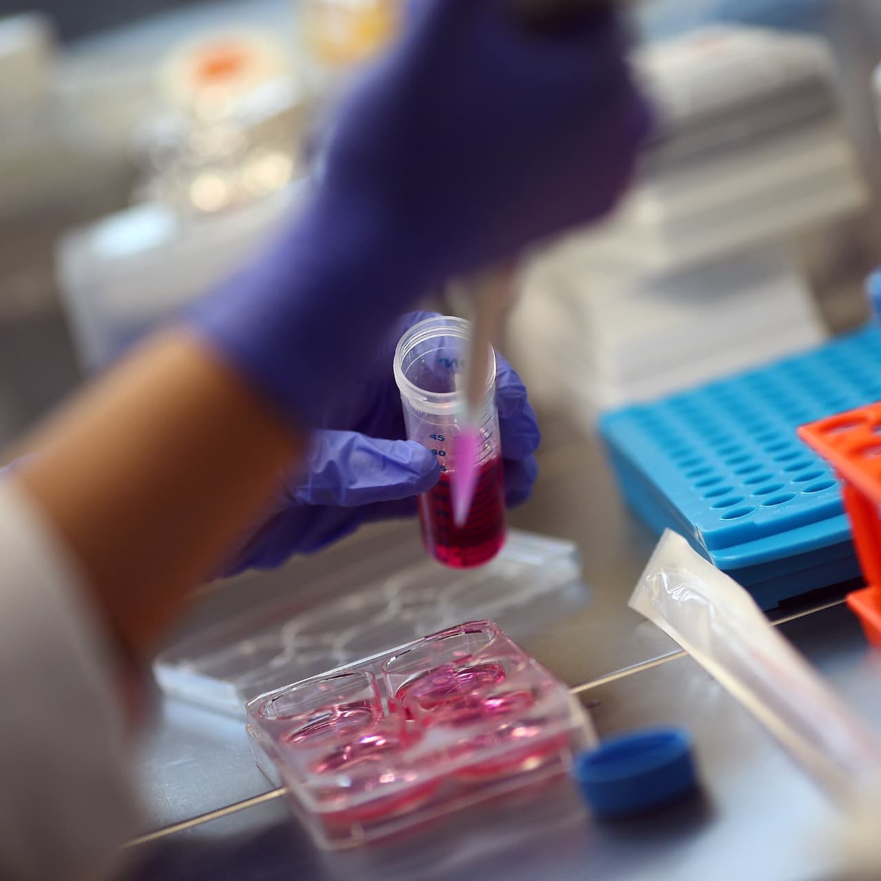 Técnica de aplicación de células madre